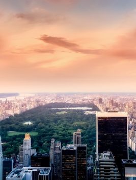 central-park-2519648_1280